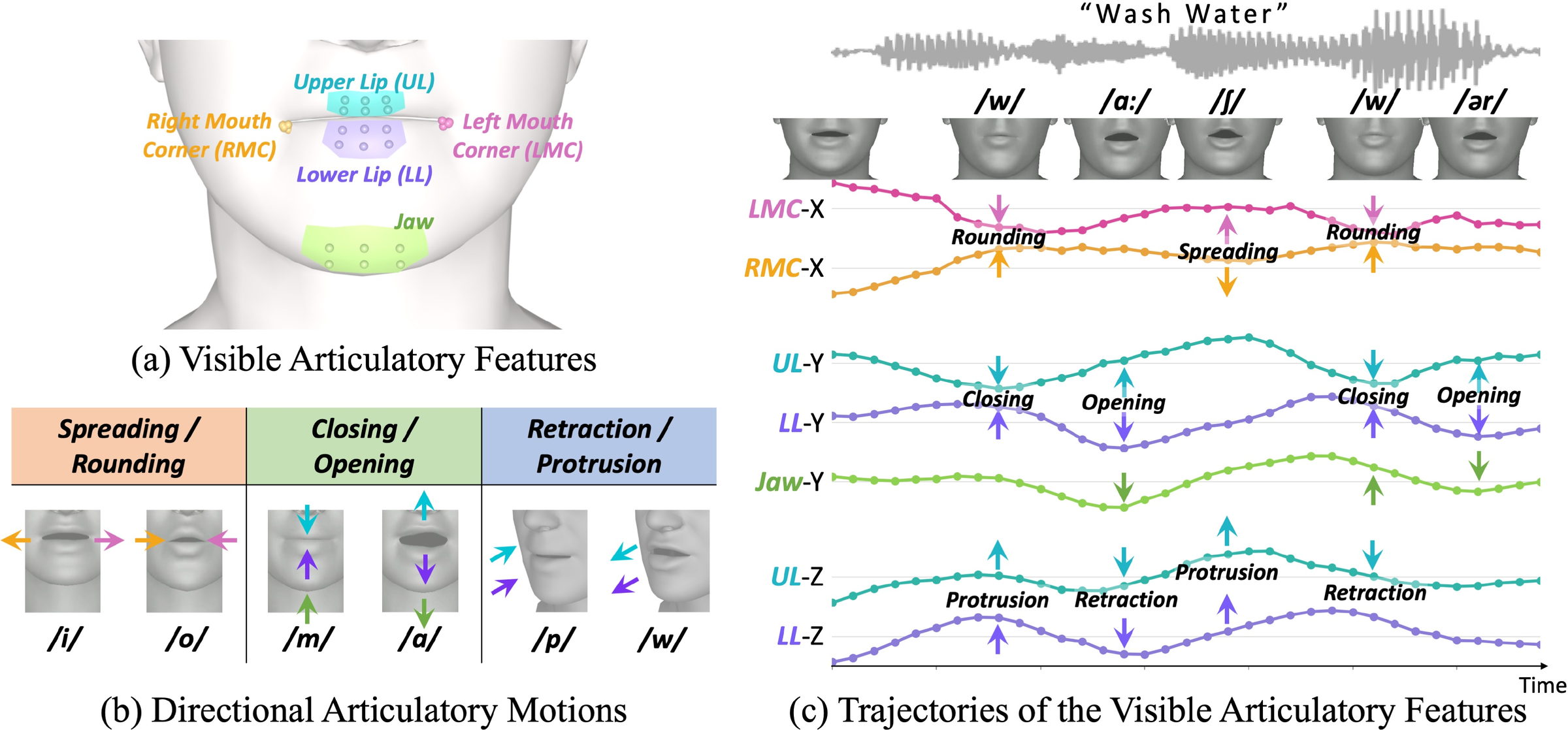 Visible mesh-surface anchors and three directional articulatory motions: spreading, opening, and protrusion.