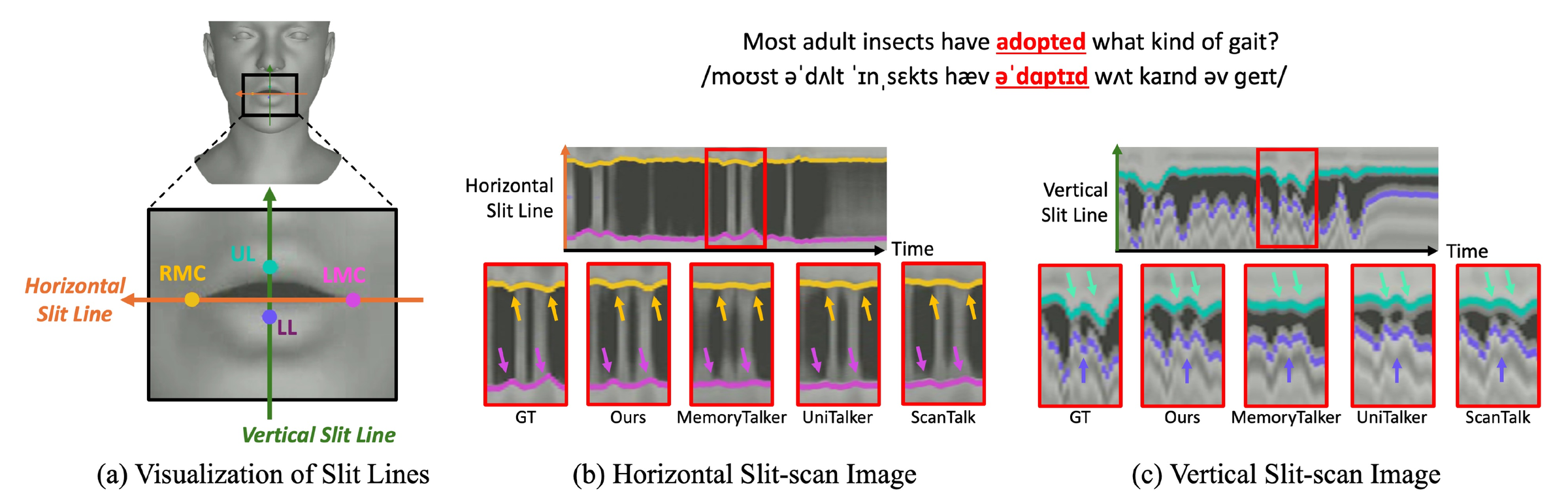 Slit-scan visualizations of horizontal and vertical lip trajectories over time.